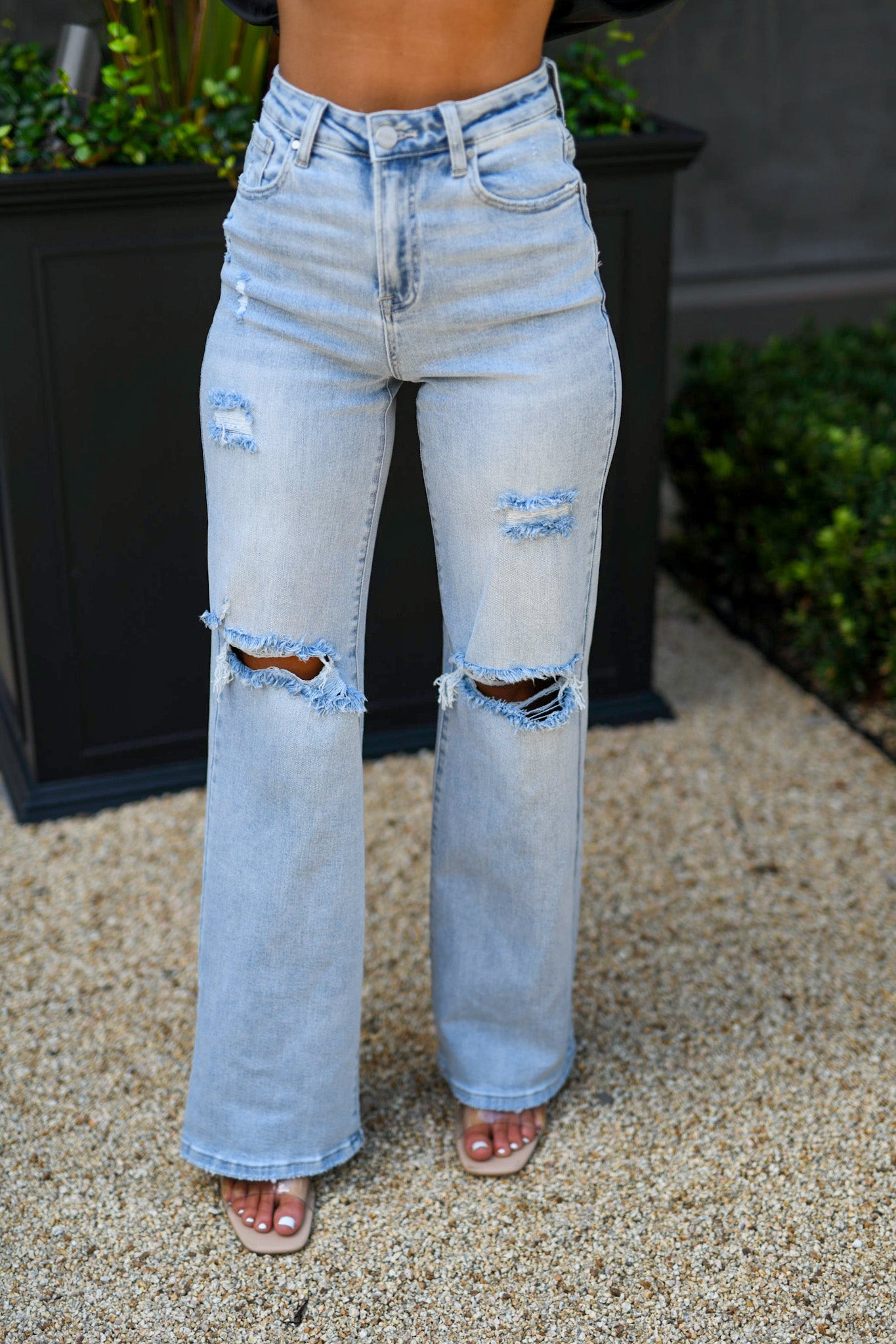 Fran High Rise Wide Jeans